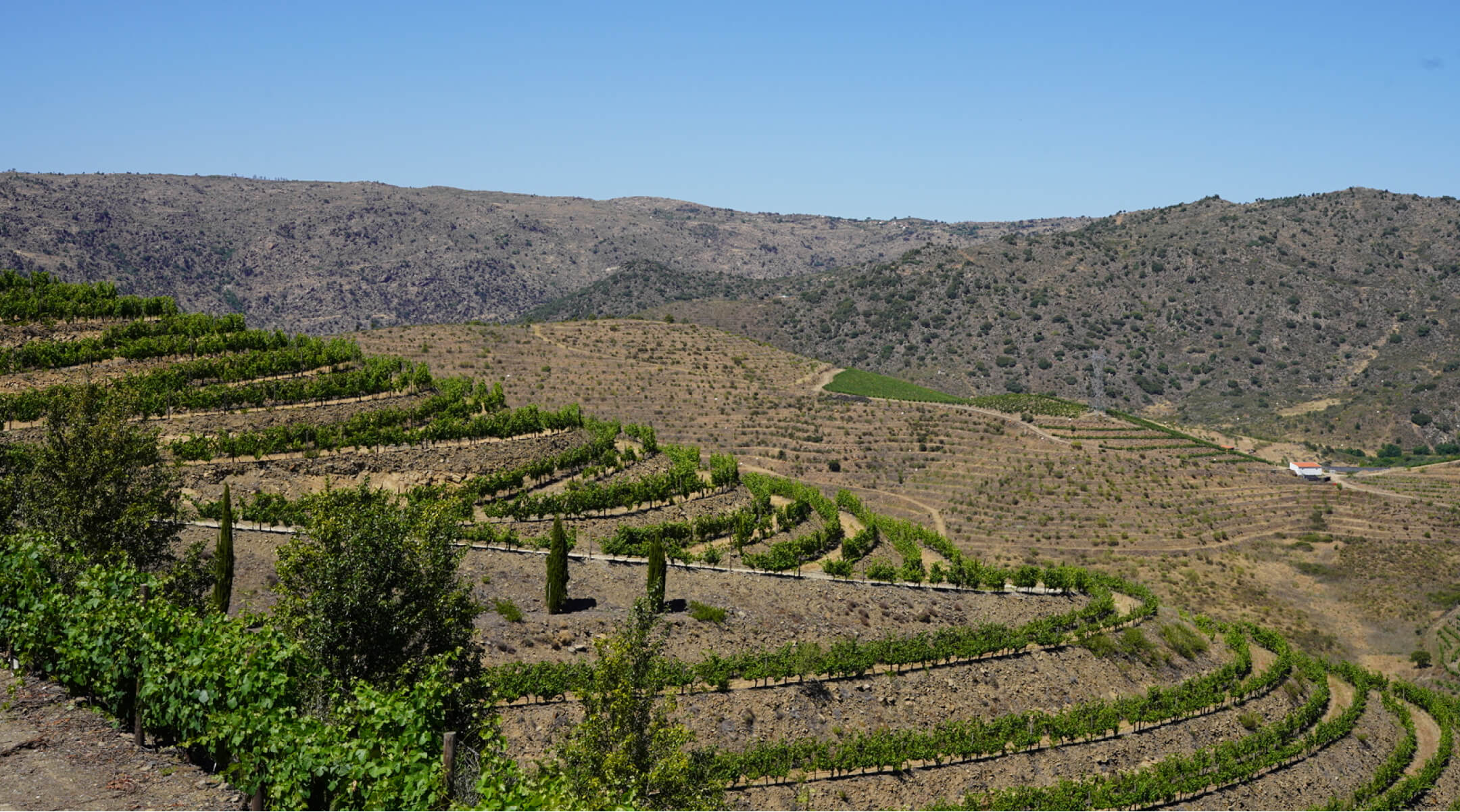 Quinta Vale D. Maria